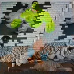 Karn King profile icon