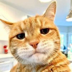 Beam Tanchanok profile icon