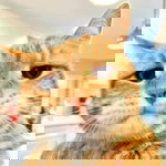 Beam Tanchanok profile icon