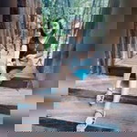 Annisa Detnarongkun profile icon