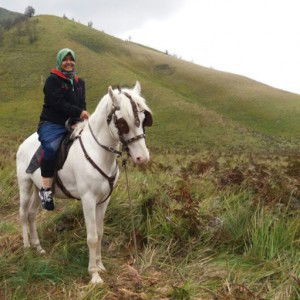 Auliya Sholawati profile icon