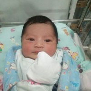 Amanda Aurellia profile icon