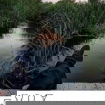 Septy maghfirah98 profile icon