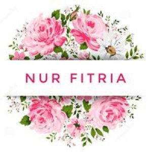 Nur Fitria profile icon