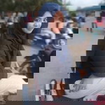 Puteri Nazera profile icon