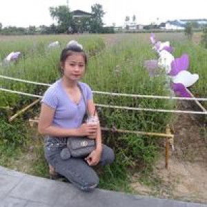 มาย ย. profile icon