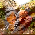 Jane Ong profile icon