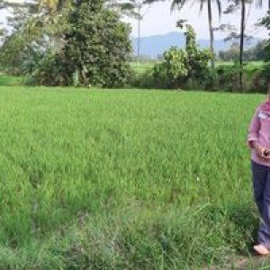 Chairunnisya Zetta II profile icon