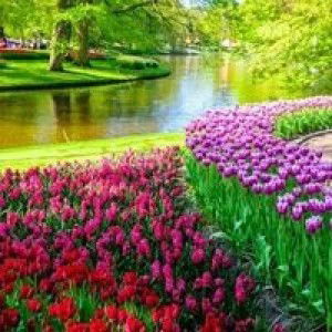 Fibri Pradita profile icon