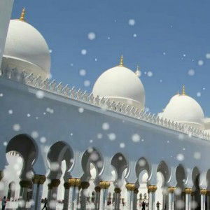 Oezzab Berda'wah'16 profile icon