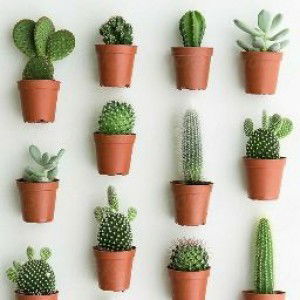 yunita fajaryan profile icon