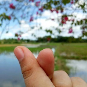 Ridha Aulia profile icon