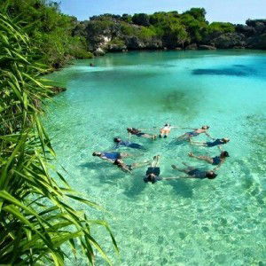 dwi susanti profile icon