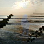 Iela Aziz profile icon