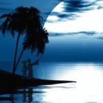 Widya Awed profile icon