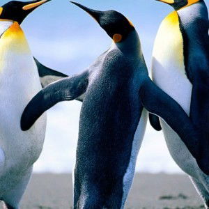 farahain_z@yahoo.com 123456789 profile icon