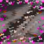 Arisa Lamashima profile icon