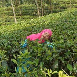 Era_ Rahmatila7 profile icon