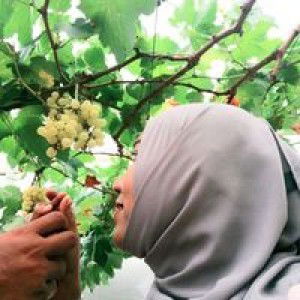 Kru'Sao Bio profile icon