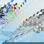 Tami Widya profile icon