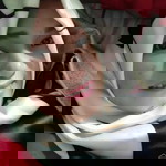 Riska ikha profile icon