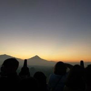 Kyu Kyu profile icon