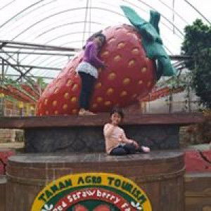 Diela Rissa profile icon