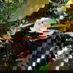 Aof Baba profile icon