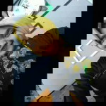 Cintya Ritonga profile icon