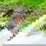 Trang Trứng Chiên profile icon