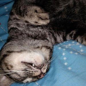 ชิดชนก พูลพร profile icon