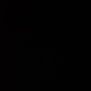 Trương Phạm profile icon