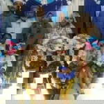 Faigi Nisah Faigi profile icon