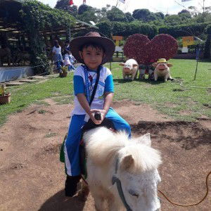 EA Alog profile icon