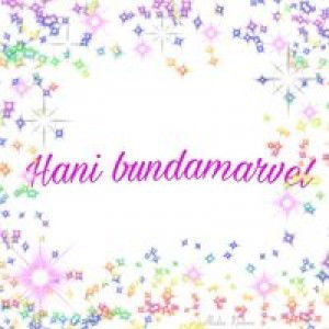 Hani Febrianti profile icon