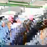 siti masruroh profile icon