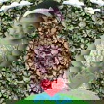 Amilia Andini profile icon