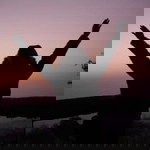 สุรีรัตน์ รสสุคนธ์ profile icon