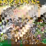 Fifitri Zuliani profile icon