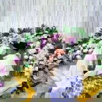 Aishah Ahmad profile icon