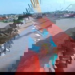 Agus Priyono profile icon