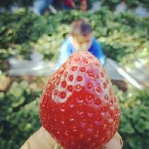 Adimas Ragil profile icon