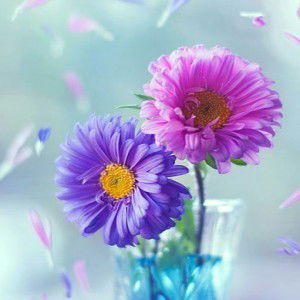 Wahdya Nurul Qolby profile icon