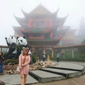 Ayu Wahdini profile icon