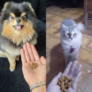 NonFyaro Latif profile icon