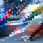 Irinchada Buthson profile icon