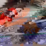 นภสร จงใจ profile icon