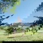 Camille Nacional Garay profile icon