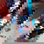 เลสดี้ ติดซั่ม profile icon