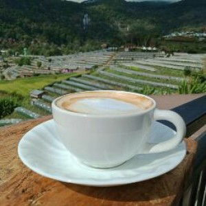 bowparnpitak profile icon